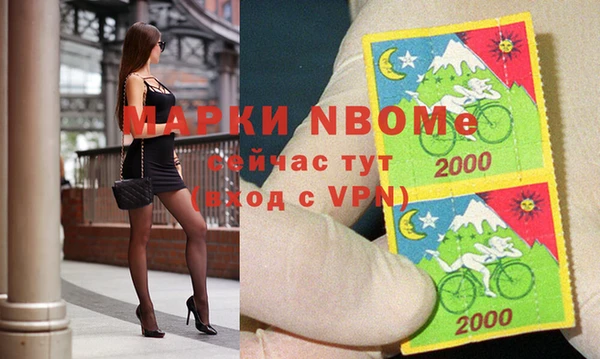 прущий лед Алзамай