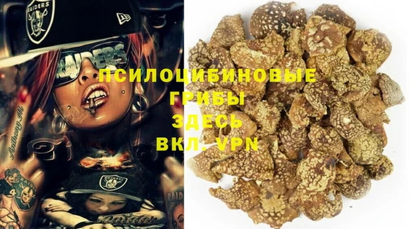 прущие крисы Аркадак