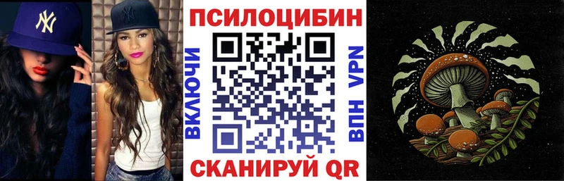 где можно купить   Новодвинск  Галлюциногенные грибы Magic Shrooms 